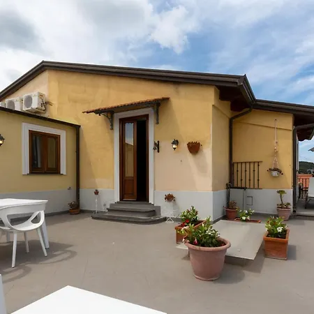 Rossy House *